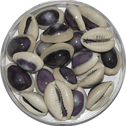 Lakshmi Cowrie Blue Colour Pack of 21 Pieces