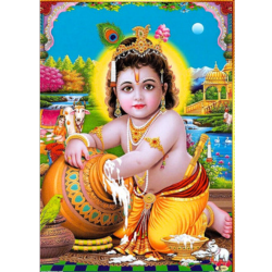 Lord Krishna Photo Picture 9 x 11 size