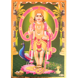 Lord Karthikeya with Gold Colour Jari Photo Picture 9 x 11 Size