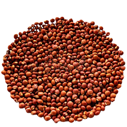 Mandhhiram Brand Red Gram (Kandulu) For Pooja/Hawan 250g Pack