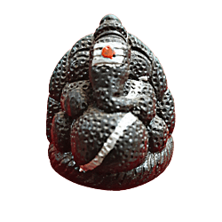 Lord Ganesha/Kanipakam Ganapathi Idol