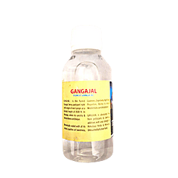 Pure Gangajal for Pooja/Homa/Hawan 100ml Bottle