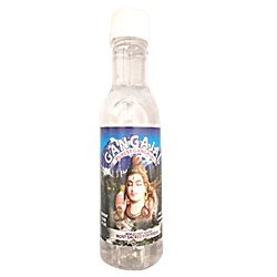 Pure Gangajal for Pooja/Homa/Hawan 100ml Bottle