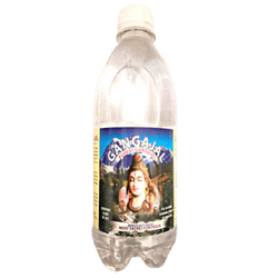 Pure Gangajal for Pooja/Homa/Hawan 100ml Bottle