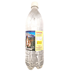 Pure Gangajal for Pooja/Homa/Hawan 100ml Bottle