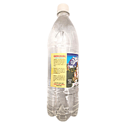 Pure Gangajal for Pooja/Homa/Hawan 100ml Bottle