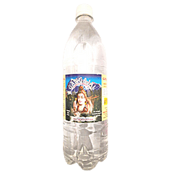 Pure Gangajal for Pooja/Homa/Hawan 100ml Bottle