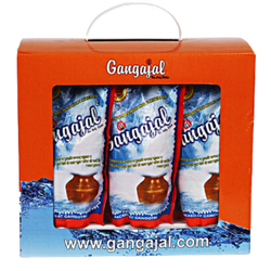 Gangajal 100% Pure Natural (10x200ml Pouches) for Pooja/Hawan/Gifting