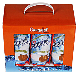 Gangajal 100% Pure Natural (10x200ml Pouches) for Pooja/Hawan/Gifting