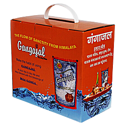 Gangajal 100% Pure Natural (10x200ml Pouches) for Pooja/Hawan/Gifting