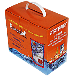 Gangajal 100% Pure Natural (10x200ml Pouches) for Pooja/Hawan/Gifting