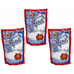 Gangajal 100% Pure Natural from Gangothri 220ml Pouch